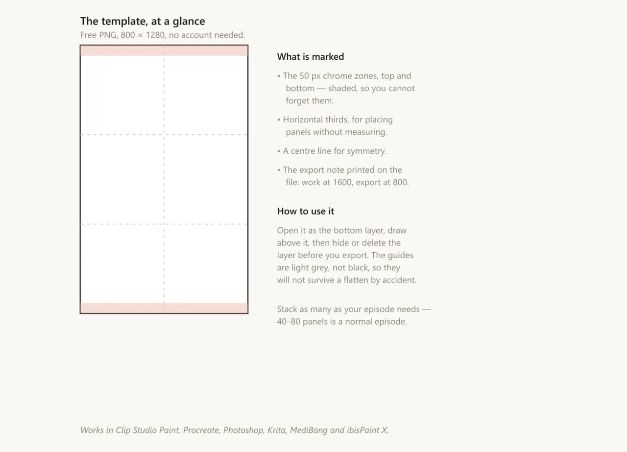 Preview of the free webtoon canvas template: a blank 800 by 1280 section with the top and bottom 50 pixel chrome zones shaded, dashed horizontal guides at the thirds, and a dashed vertical centre line.