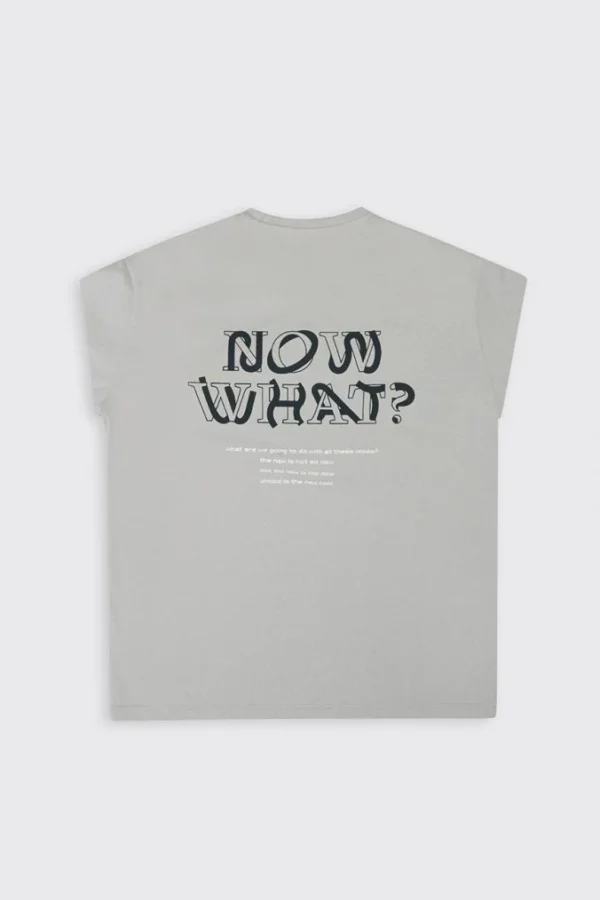 Now What Long Sleeve T-Shirt – Stone